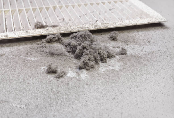 Best HVAC Air Duct Cleaning  in Elwood, UT