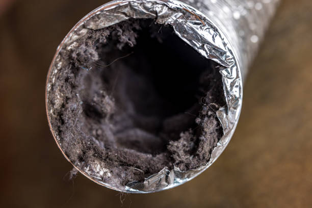 Best Professional Duct Cleaning Services  in Elwood, UT