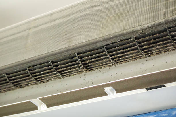Best Residential Air Duct Cleaning  in Elwood, UT