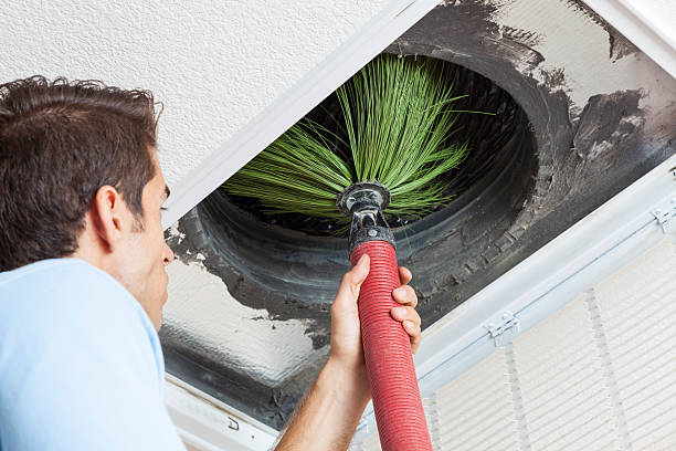 Best Air Vent Cleaning Services  in Elwood, UT